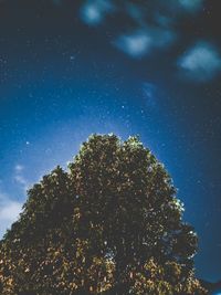 Low angle view of trees against sky at night