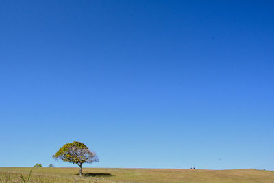 Scenic view of land against clear blue sky