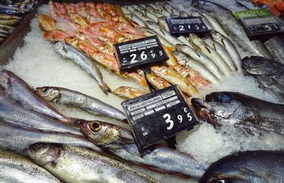 High angle view of fish for sale at market