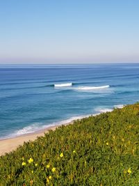 Scenic view of sea against clear sky