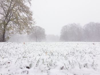 Scenic view of snow field against clear sky