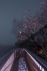 Low angle view of cherry tree against sky during winter