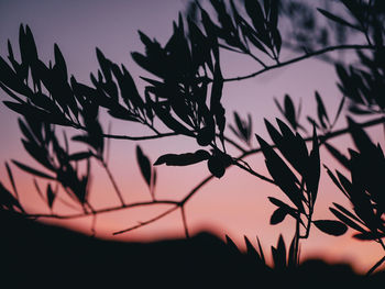 Low angle view of silhouette tree against sky at sunset