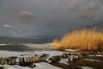 Scenic view of beach against sky