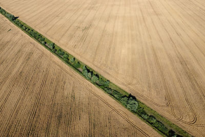 High angle view of agricultural field