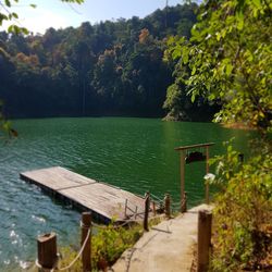 Scenic view of lake against trees