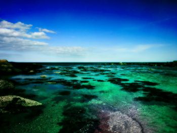 Scenic view of sea against blue sky