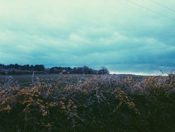 Scenic view of field against cloudy sky