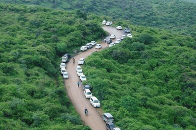 High angle view of road amidst trees in forest