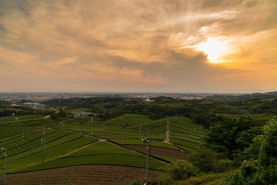 Scenic view of field against sky during sunset