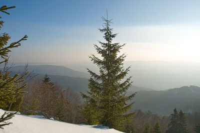 Frosty day on the top of the mountain