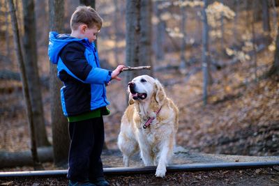 Side view of boy with golden retriever in forest