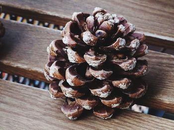 High angle view of pine cone on table