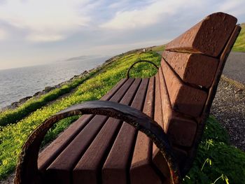 Close-up of grass by sea against sky