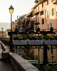 High angle view of residential buildings