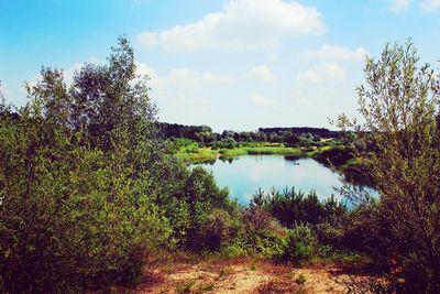 Scenic view of lake in forest against sky