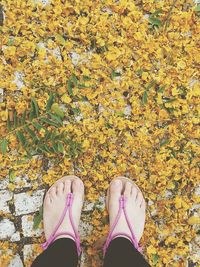 Low section of woman standing on fallen autumn leaves