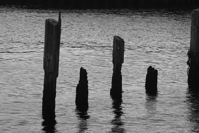 Wooden posts in sea