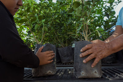 Low section of man using mobile phone