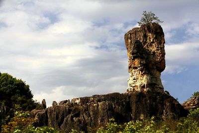 Low angle view of tree trunk against sky