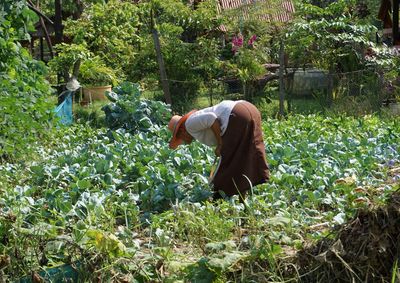 Side view of woman on plants