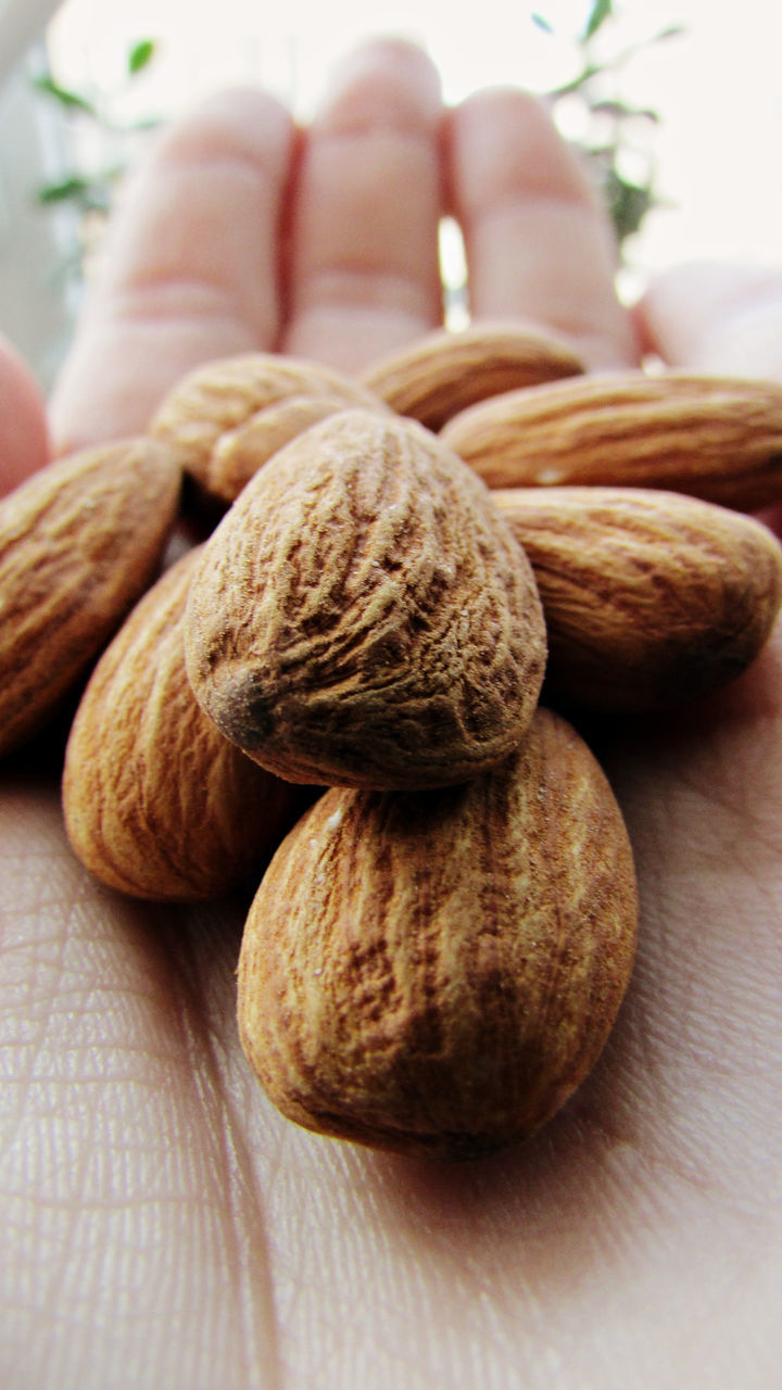 food and drink, close-up, food, healthy eating, indoors, nutshell, freshness, walnut, no people, day