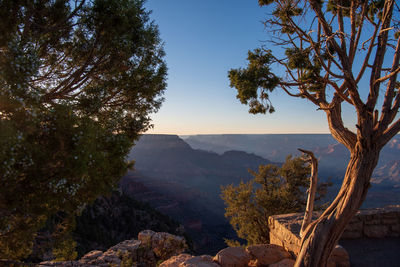 Scenic view of tree mountains against clear sky