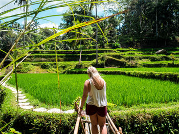 Rear view of woman standing on agriculture field 