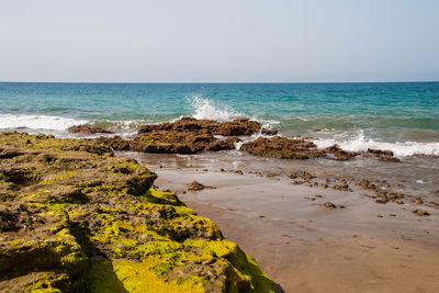 Scenic view of beach against clear sky