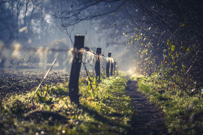 Panoramic view of barbed wire on footpath in landscape