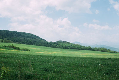 Scenic view of grassy field against cloudy sky