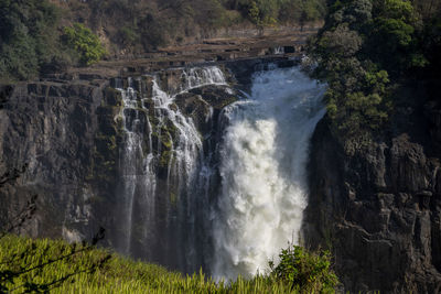 Scenic view of victoria waterfall in forest