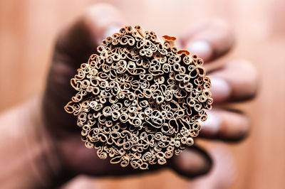 Close-up of hand holding cigarettes