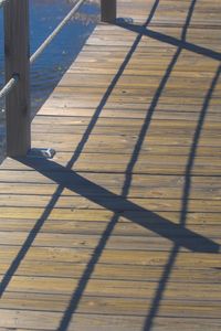 High angle view of bird perching on wood