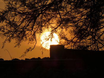 Silhouette trees against orange sky