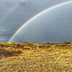 Rainbow over field