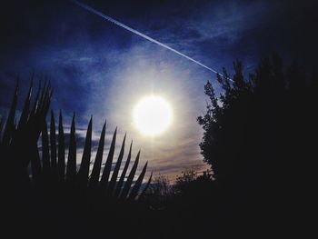 Low angle view of trees against sky