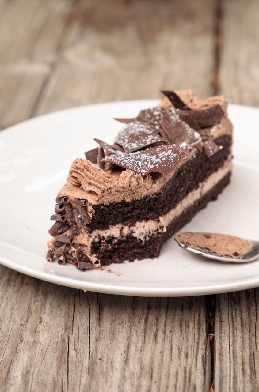 CLOSE-UP OF CHOCOLATE CAKE ON PLATE