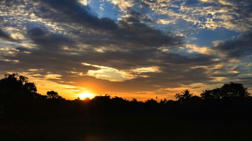 Silhouette of trees at sunset