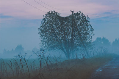 Bare trees on landscape against sky