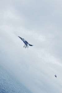 Low angle view of airplane flying in sky