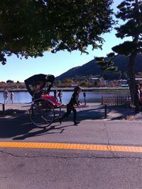 People on bicycle by tree against sky