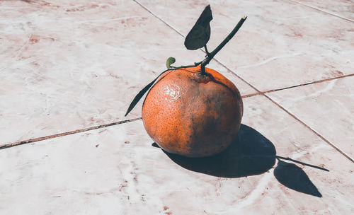 High angle view of apples on table