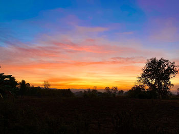 Silhouette trees on field against sky during sunset