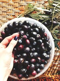 Close-up of hand holding strawberries in basket