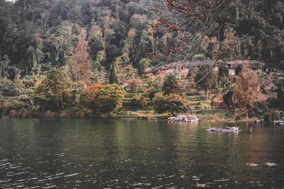 Scenic view of lake in forest during autumn