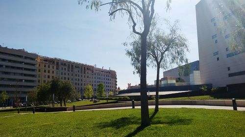 View of buildings in city