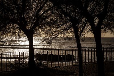 Silhouette trees by river against sky