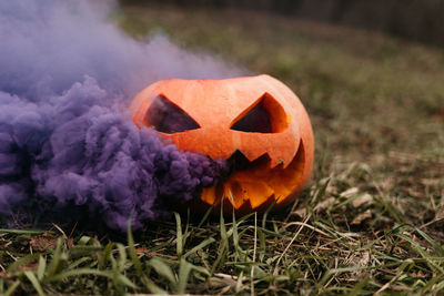 Close-up of pumpkin on field with purple smoke on halloween 