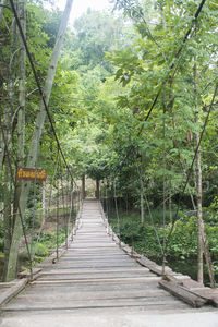 Footbridge amidst trees in forest